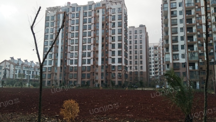 先锋化工小区外景图