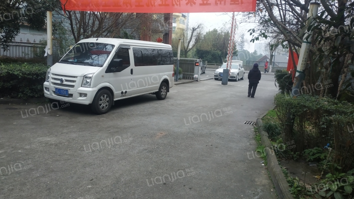 金色阳光外景图