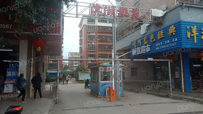 滨湖桃苑外景图