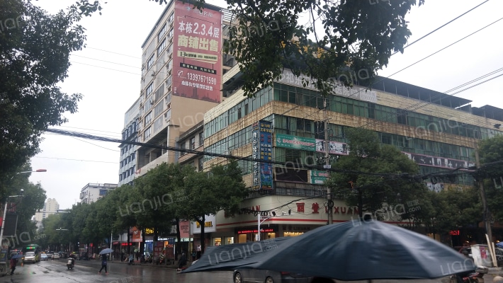 洪城名都外景图