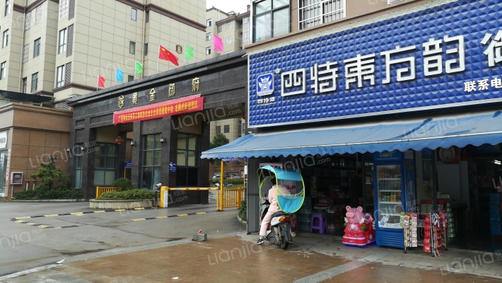 黄金御府外景图