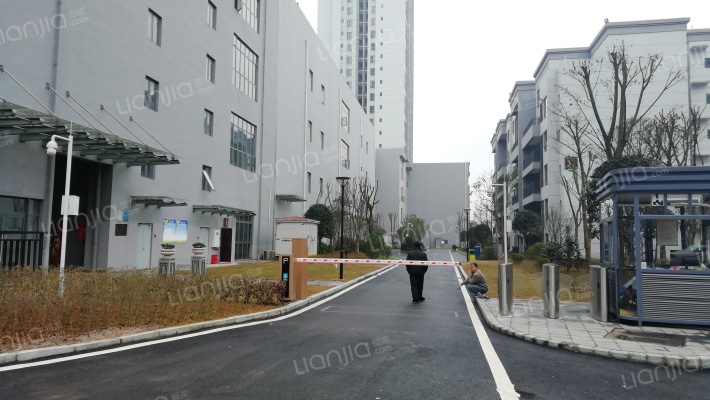 滨江安置小区外景图