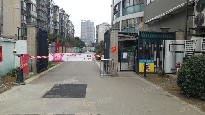 滨湖之春外景图