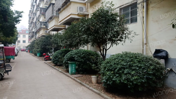 天泉明珠外景图