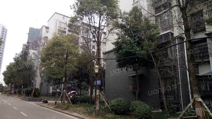 学府春天外景图