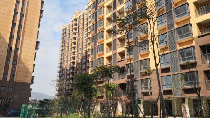 厦宫新区外景图