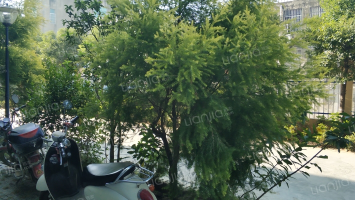 江畔御花园外景图