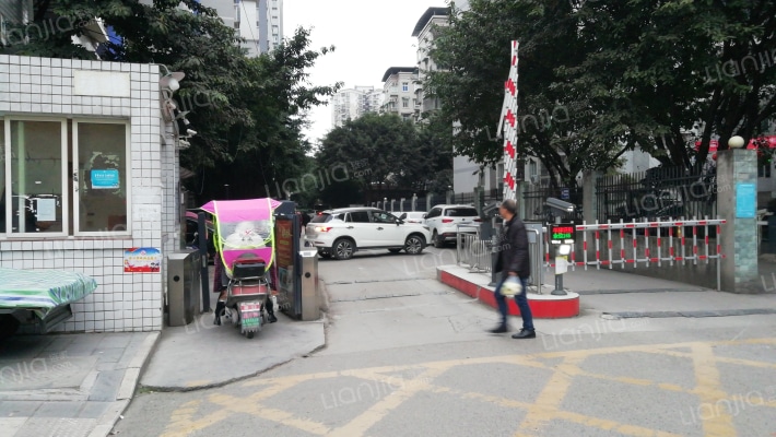 金色大地外景图