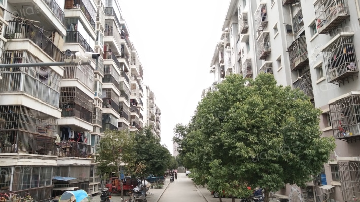 胡家坝居民房外景图