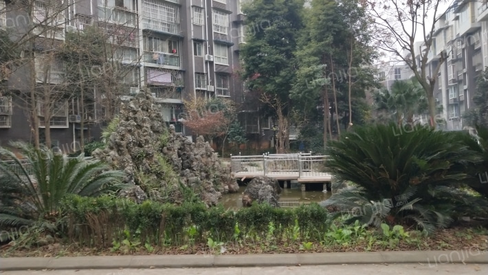 金鹰国际外景图