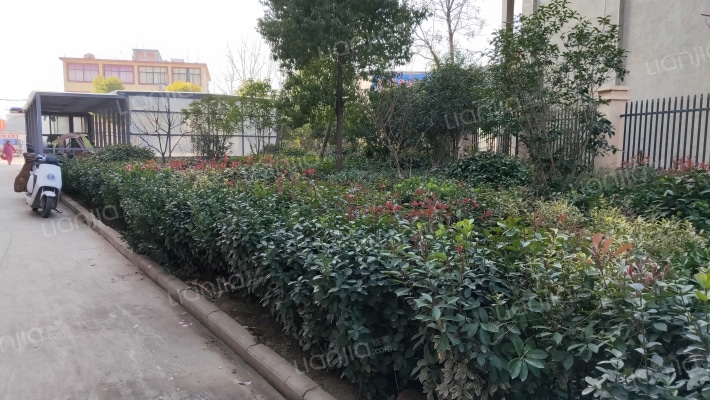 颖上县西城名苑外景图