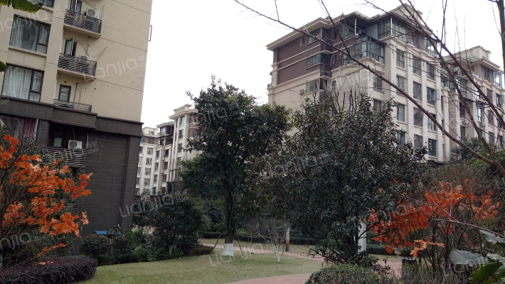 世纪金马花漫里外景图