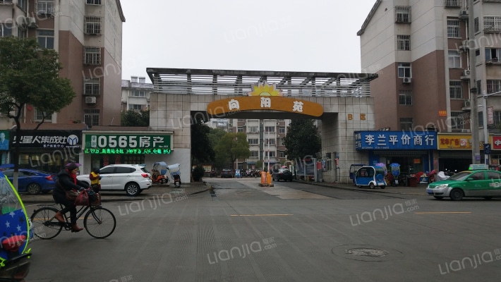 向阳苑B区外景图