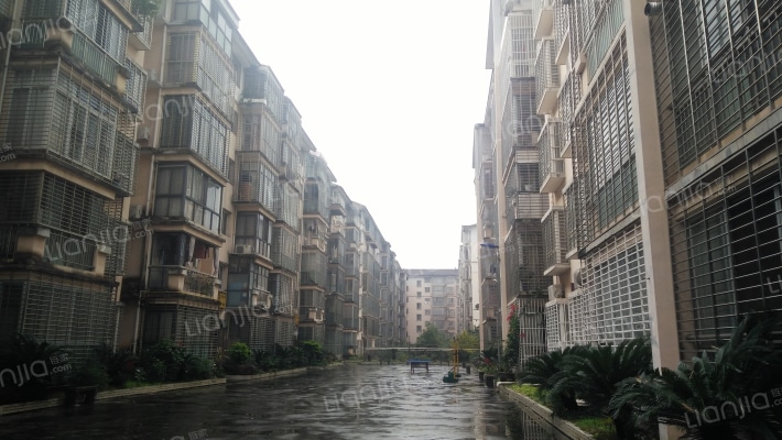 家家乐园外景图