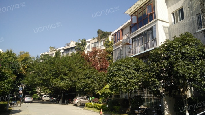 江岸美城外景图