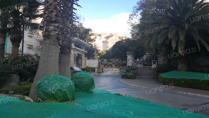 金色半岛外景图