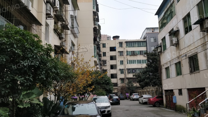 百家花园外景图