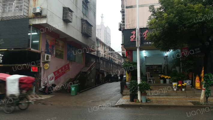 金山明什苑外景图