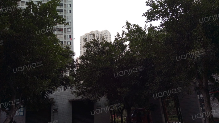 紫荆翰林苑外景图