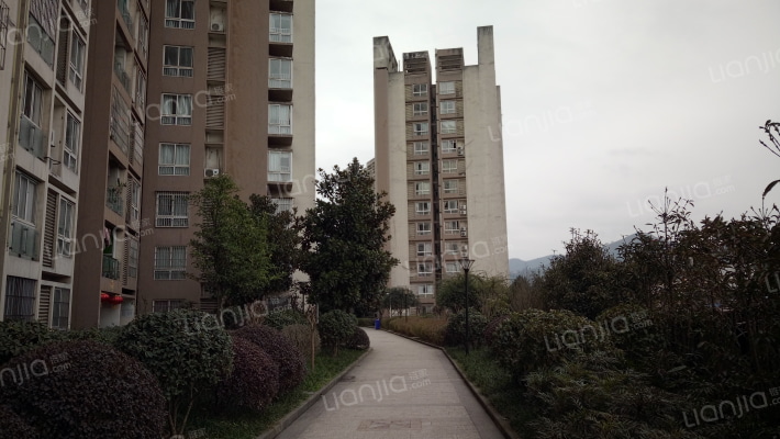 金山丽苑B区外景图