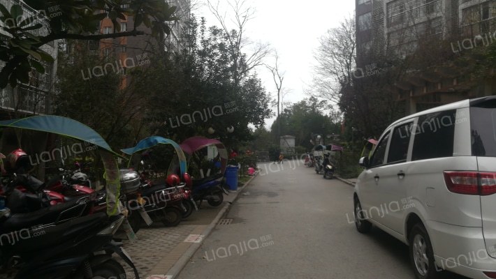 拓新碧水西城B区外景图