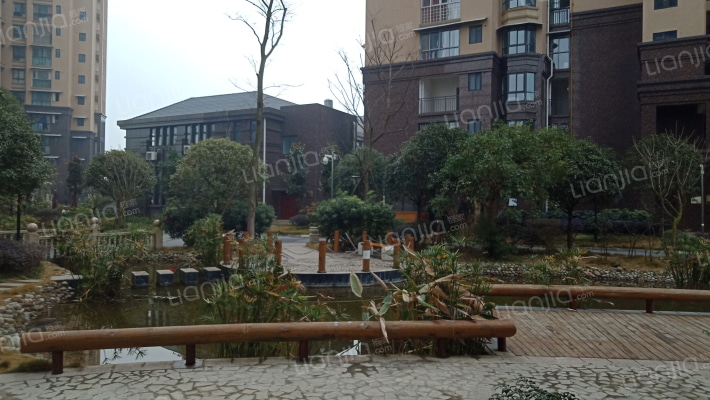 香槟城金色明天外景图