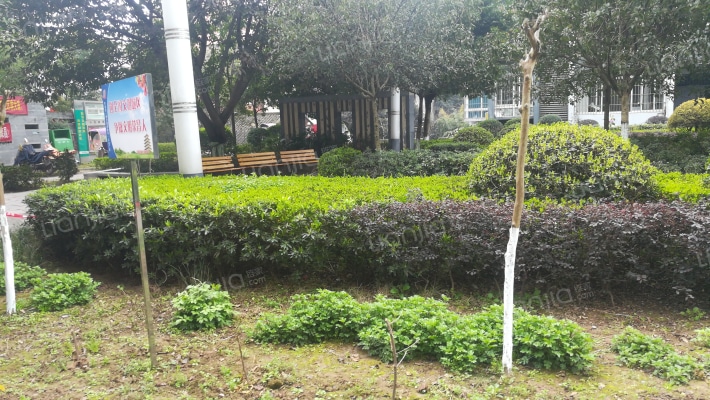 优品国际外景图