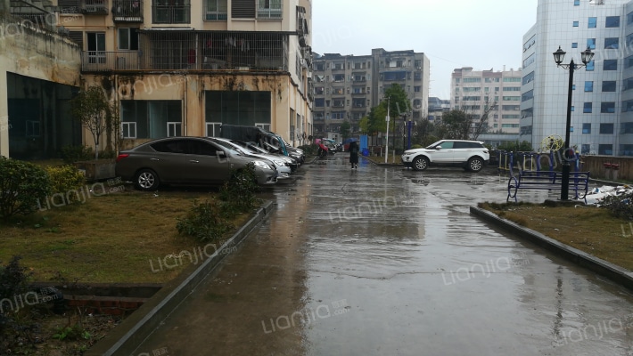 牡丹壹号外景图