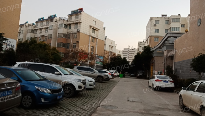 春光丽景外景图