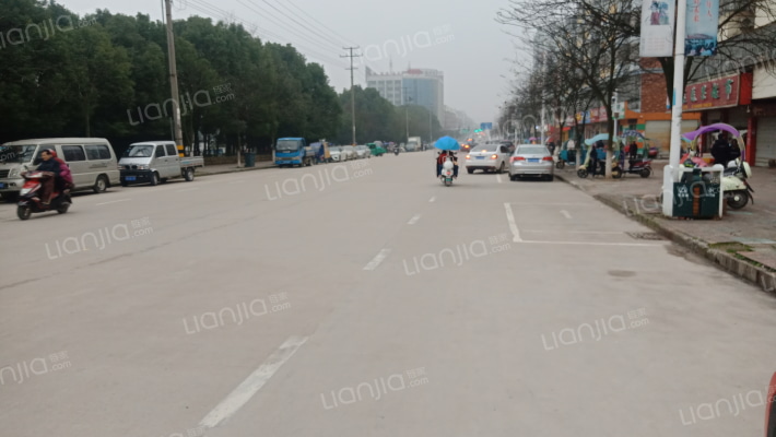 独秀花苑外景图