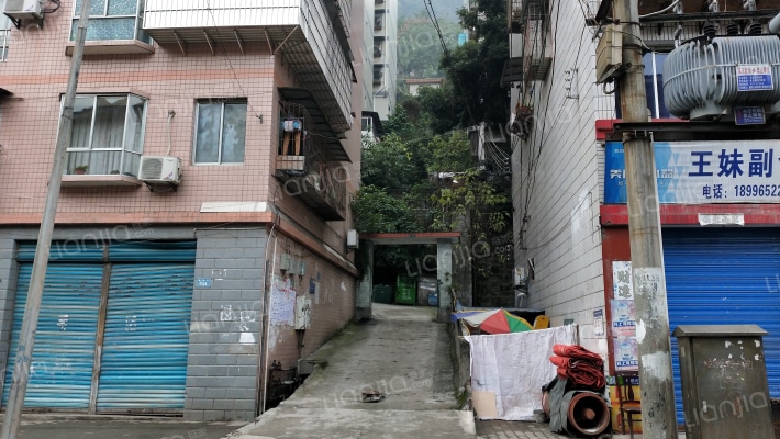 伴山景园外景图