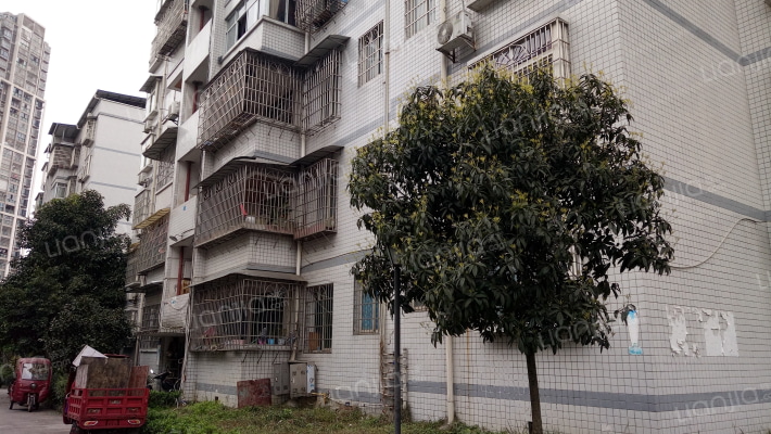 五彩祥苑外景图