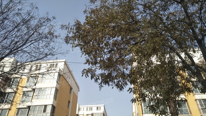 阳光逸景外景图