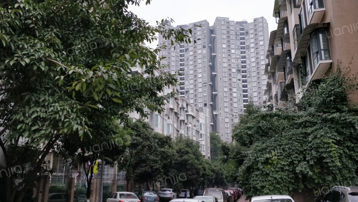 世家左岸半岛外景图