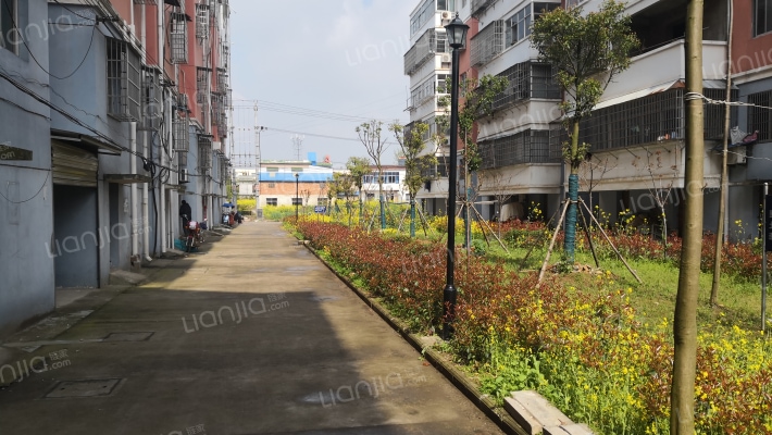 新世纪花苑外景图