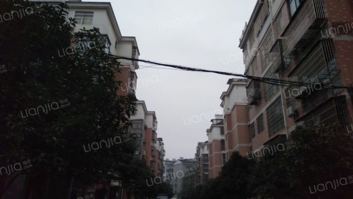 粮苑小区外景图