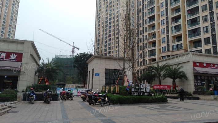 芸峰白鹭洲外景图