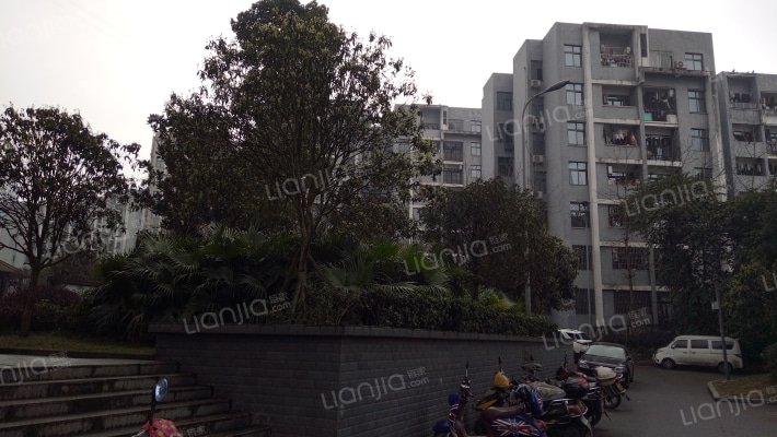 芋荷苑小区外景图