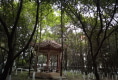 锦城花园2
