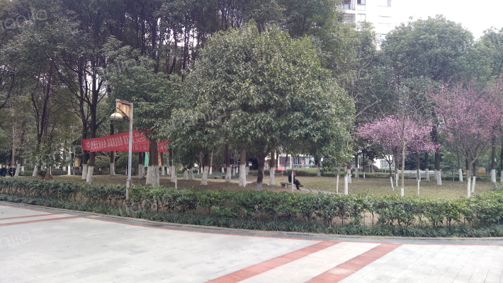 卓然假日之城外景图