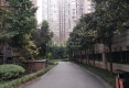 科华首座2