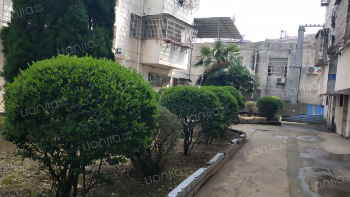 人和府街新区外景图