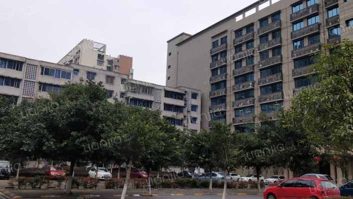 金杏小区外景图