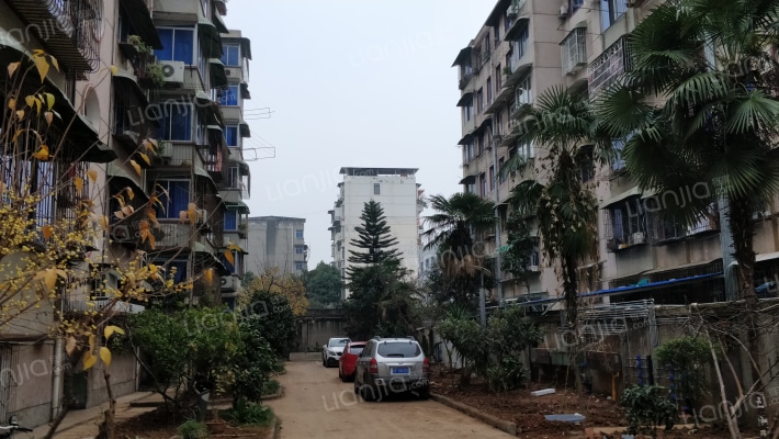 城区供电小区外景图