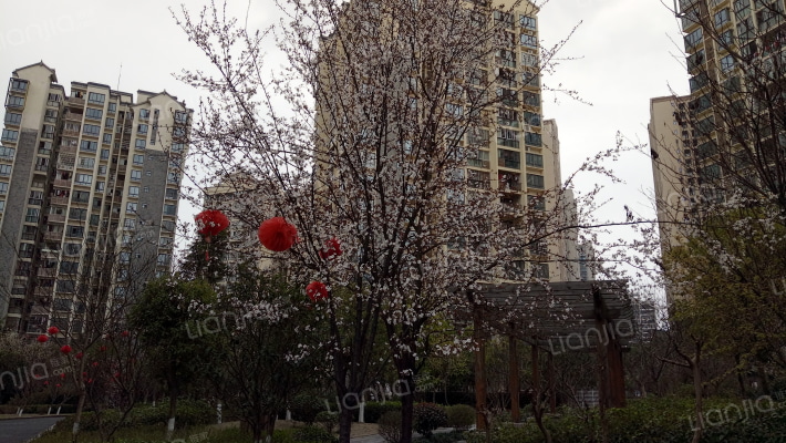 共谊春天诗意外景图