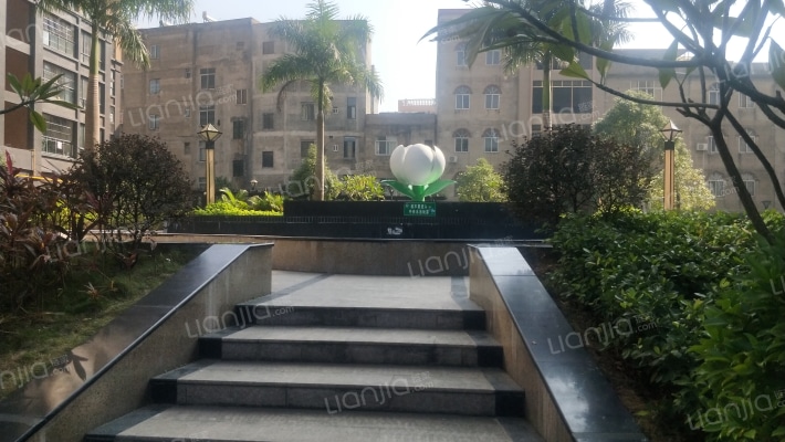 茉莉春天外景图