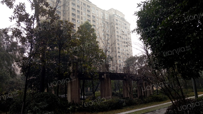 中央花园外景图