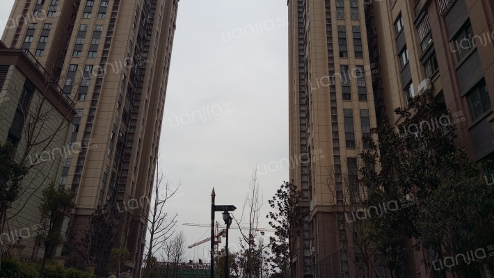 中核天玺一品外景图