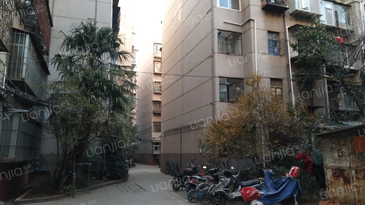 棕合小区外景图