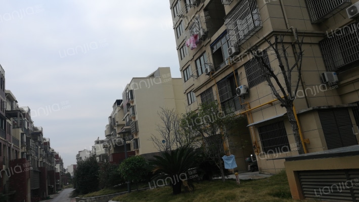 水岸花都外景图